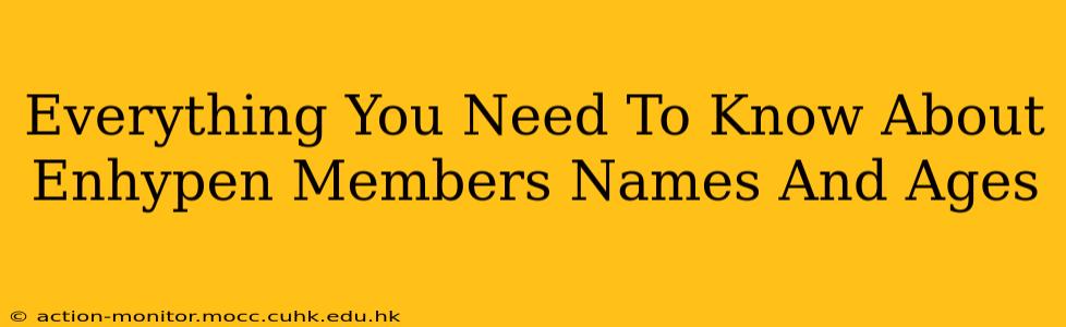 Everything You Need To Know About Enhypen Members Names And Ages