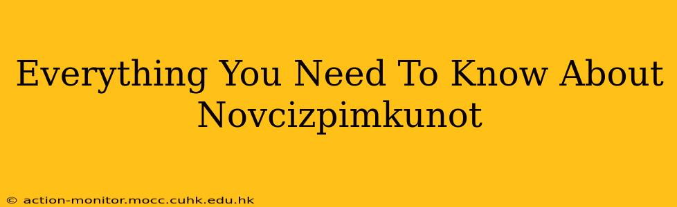 Everything You Need To Know About Novcizpimkunot