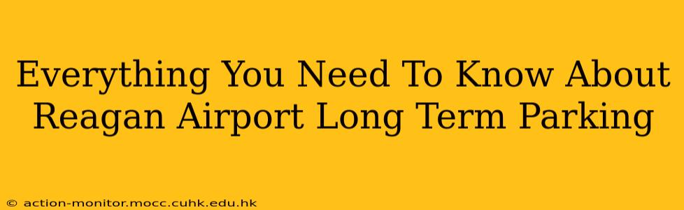 Everything You Need To Know About Reagan Airport Long Term Parking