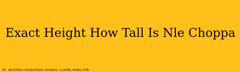 Exact Height How Tall Is Nle Choppa