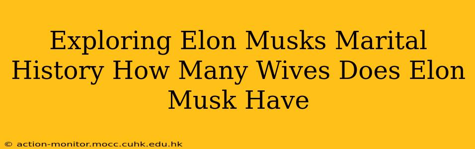 Exploring Elon Musks Marital History How Many Wives Does Elon Musk Have