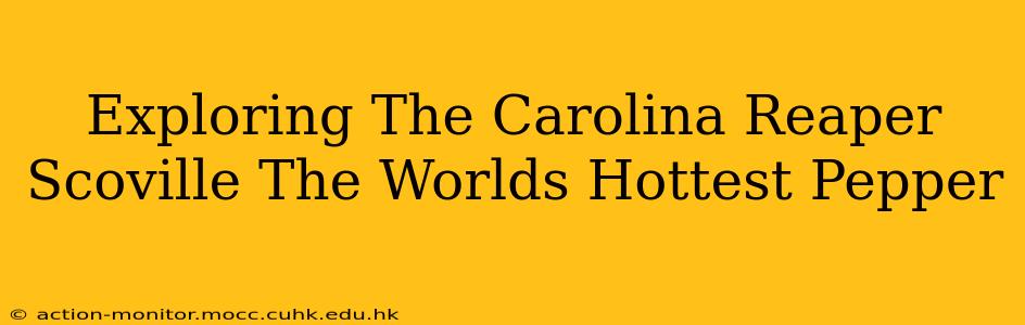 Exploring The Carolina Reaper Scoville The Worlds Hottest Pepper