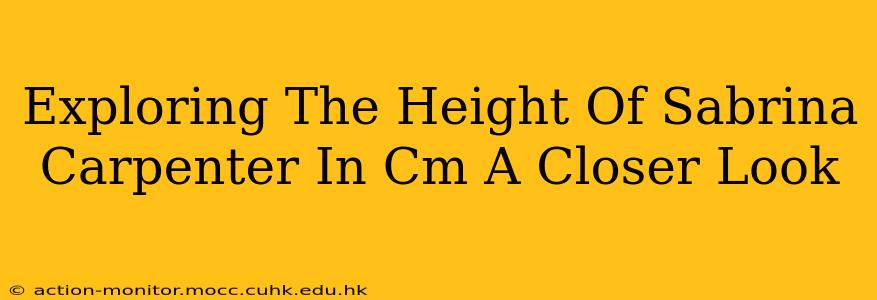 Exploring The Height Of Sabrina Carpenter In Cm A Closer Look
