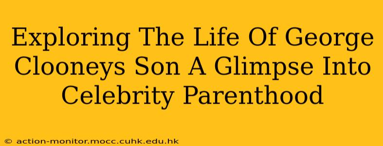 Exploring The Life Of George Clooneys Son A Glimpse Into Celebrity Parenthood