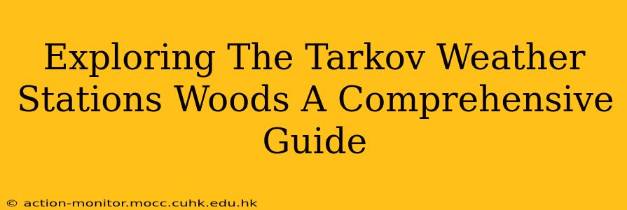 Exploring The Tarkov Weather Stations Woods A Comprehensive Guide