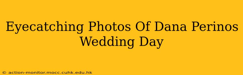 Eyecatching Photos Of Dana Perinos Wedding Day