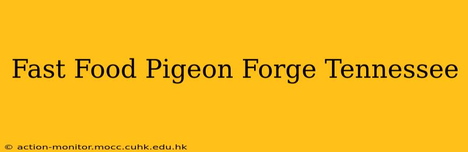 Fast Food Pigeon Forge Tennessee