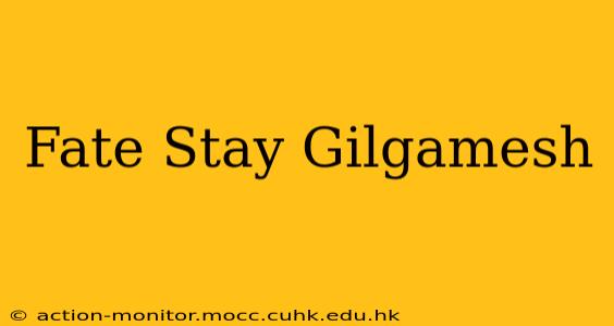 Fate Stay Gilgamesh