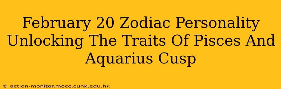February 20 Zodiac Personality Unlocking The Traits Of Pisces And Aquarius Cusp