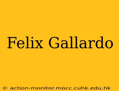 Felix Gallardo