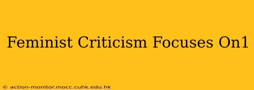 Feminist Criticism Focuses On1