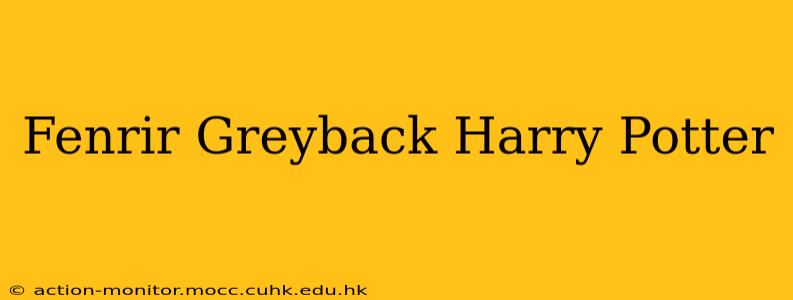 Fenrir Greyback Harry Potter