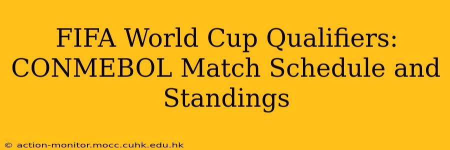 FIFA World Cup Qualifiers: CONMEBOL Match Schedule and Standings