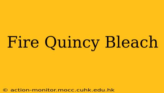 Fire Quincy Bleach