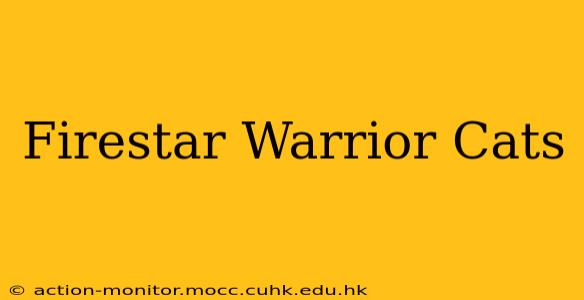 Firestar Warrior Cats