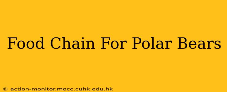 Food Chain For Polar Bears