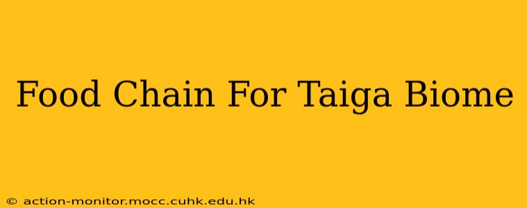 Food Chain For Taiga Biome