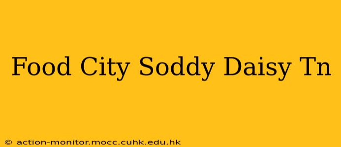 Food City Soddy Daisy Tn