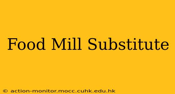 Food Mill Substitute