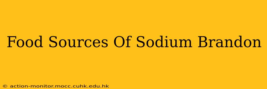 Food Sources Of Sodium Brandon