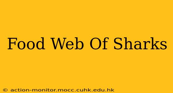 Food Web Of Sharks