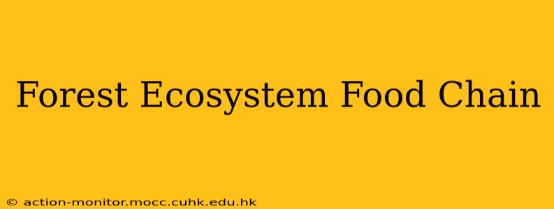 Forest Ecosystem Food Chain