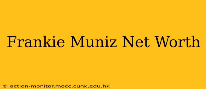 Frankie Muniz Net Worth