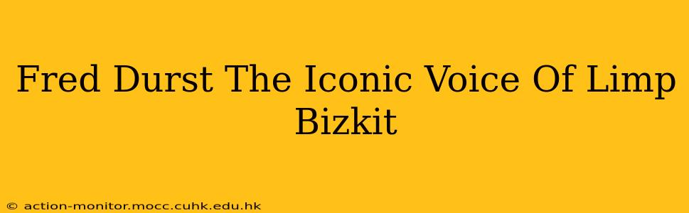Fred Durst The Iconic Voice Of Limp Bizkit