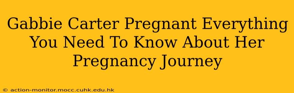 Gabbie Carter Pregnant Everything You Need To Know About Her Pregnancy Journey