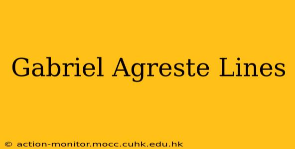 Gabriel Agreste Lines