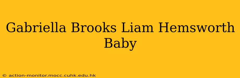 Gabriella Brooks Liam Hemsworth Baby