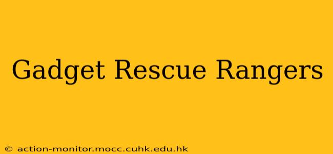 Gadget Rescue Rangers