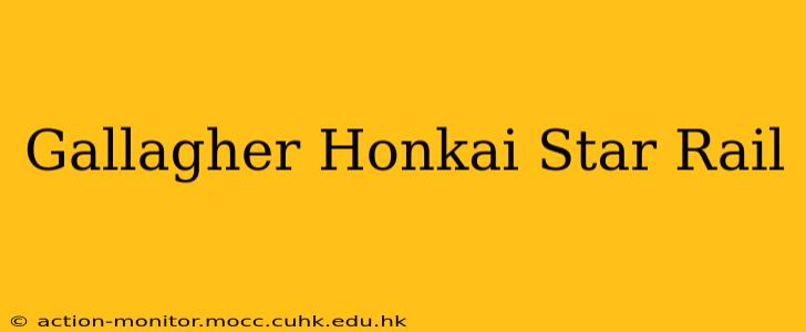 Gallagher Honkai Star Rail
