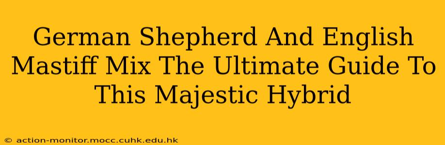 German Shepherd And English Mastiff Mix The Ultimate Guide To This Majestic Hybrid