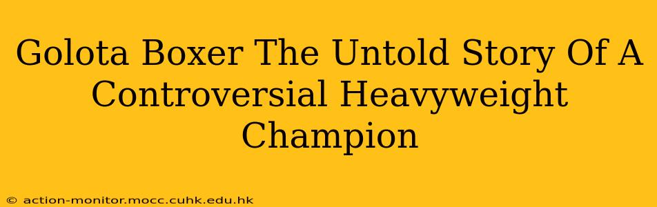 Golota Boxer The Untold Story Of A Controversial Heavyweight Champion