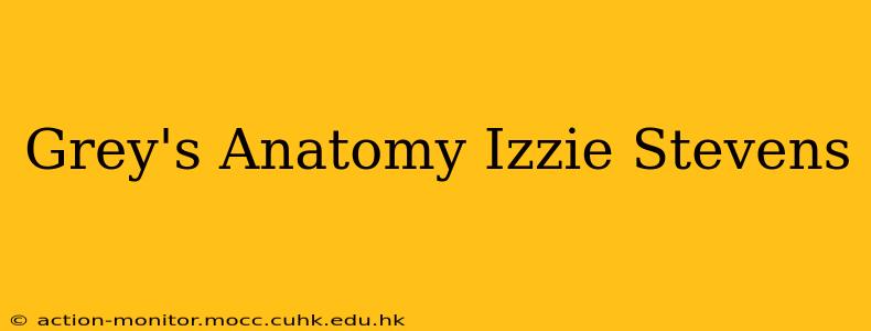 Grey's Anatomy Izzie Stevens