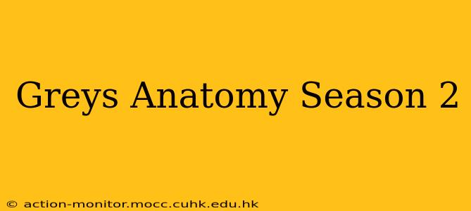 Greys Anatomy Season 2