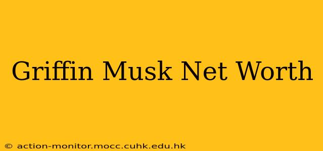 Griffin Musk Net Worth