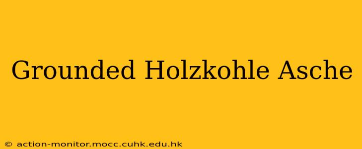 Grounded Holzkohle Asche