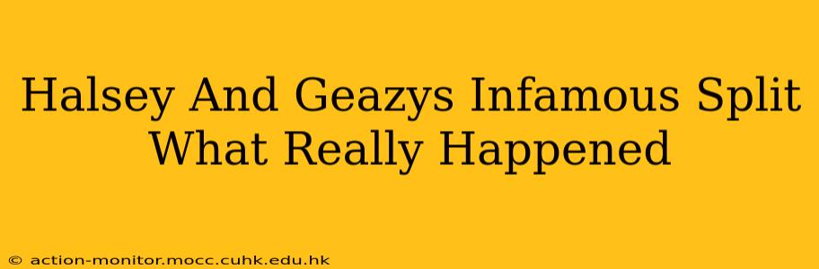 Halsey And Geazys Infamous Split What Really Happened