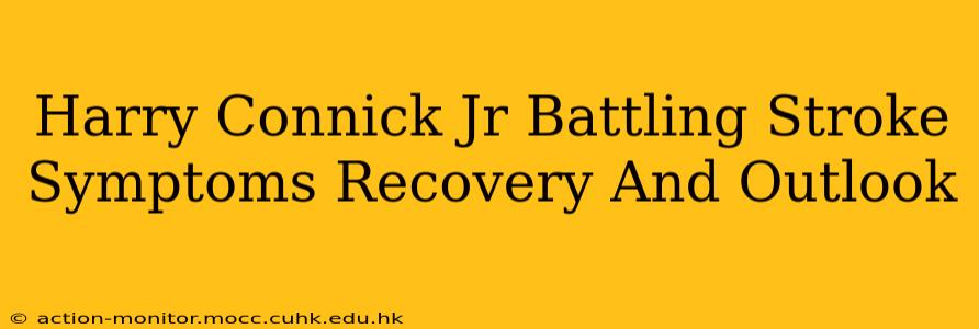 Harry Connick Jr Battling Stroke Symptoms Recovery And Outlook