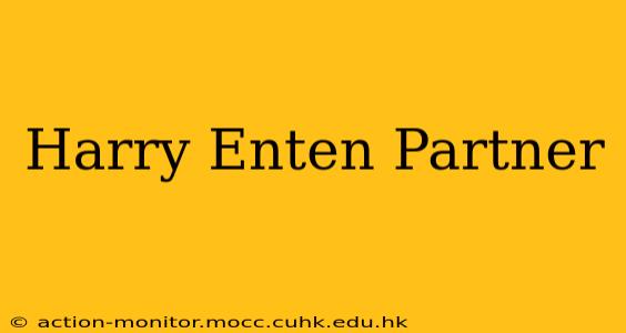 Harry Enten Partner