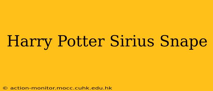 Harry Potter Sirius Snape