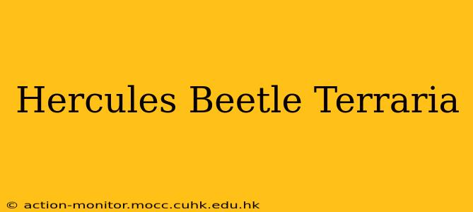 Hercules Beetle Terraria