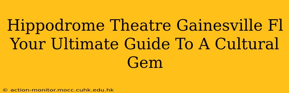 Hippodrome Theatre Gainesville Fl Your Ultimate Guide To A Cultural Gem