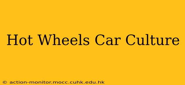 Hot Wheels Car Culture