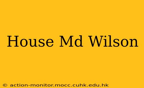 House Md Wilson