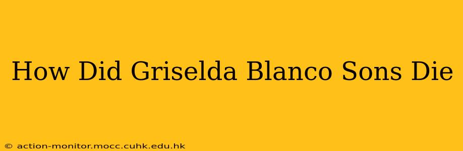 How Did Griselda Blanco Sons Die