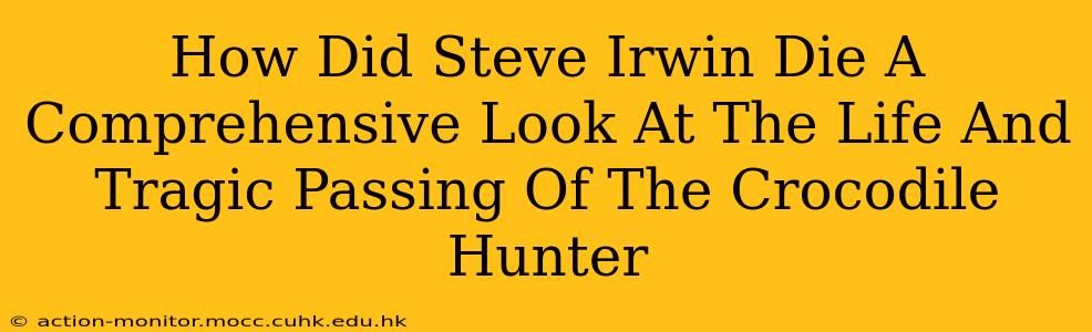 How Did Steve Irwin Die A Comprehensive Look At The Life And Tragic Passing Of The Crocodile Hunter
