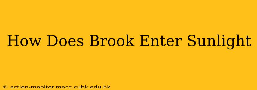 How Does Brook Enter Sunlight